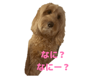 839591220