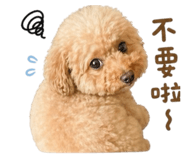 839591758