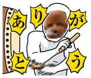 839592079