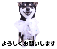 839592401