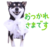 839592408