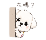 839592543