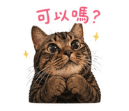 839592878