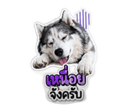 839594942