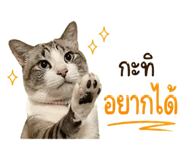 839595569