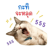 839595571