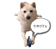 839596484