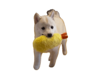 839596485