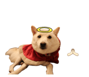 839596493