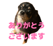 839596689
