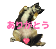 839596690