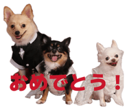 839596692