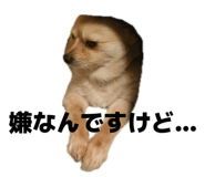 839596694