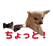 839596696