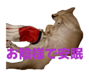 839596698