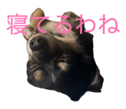 839596701