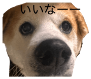 839596822