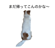 839596837