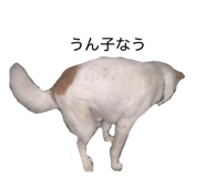 839596839