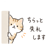 839597247