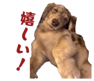839597852