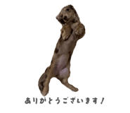 839597853