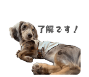 839597854