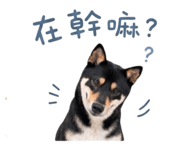 839598420