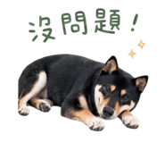 839598431