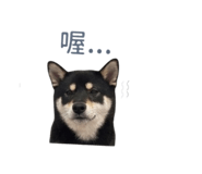 839598771