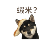 839598772