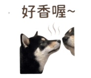 839598774