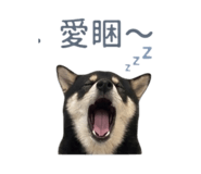 839598777