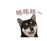 839598778
