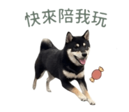 839598780