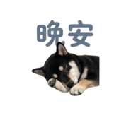 839598781