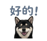 839598782