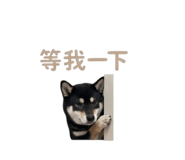 839598783