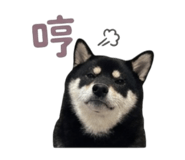 839598784