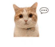 839598816