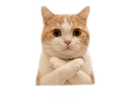 839598820
