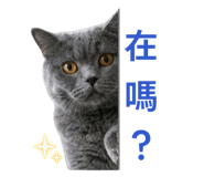 839599125