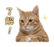 839599198
