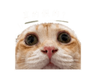 839599482