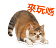 839599595
