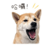 839599853