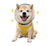 839602141
