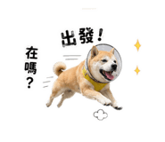 839602149
