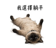 839602196