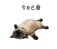 839602198